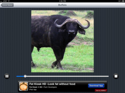 Скриншот приложения Animal Sounds HD Lite - №3