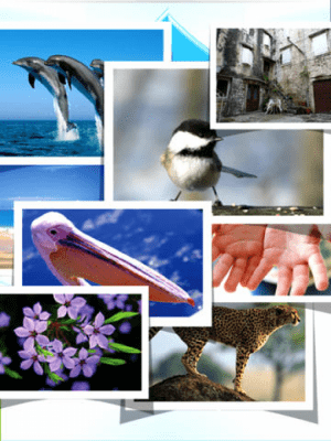 Скриншот приложения LOL Collage Lite - №3