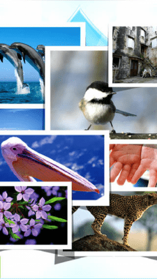 Скриншот приложения LOL Collage Lite - №8