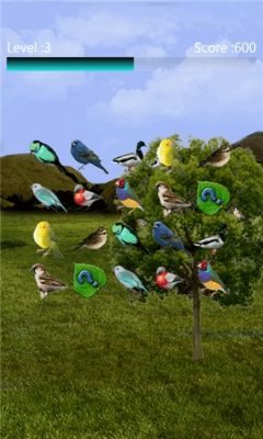 Скриншот приложения Birds Matcher - №3