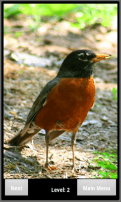 Скриншот приложения Bird Puzzle - №3