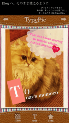 Скриншот приложения TypePic - №4