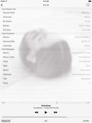 Скриншот приложения FLAC Player - №4
