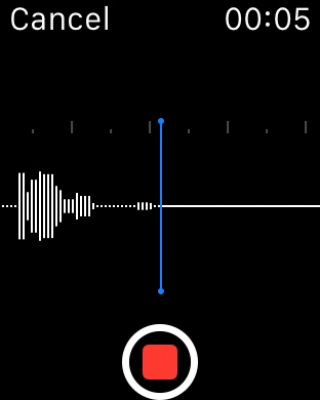 Скриншот приложения Audio Memos - The Voice Recorder - №6