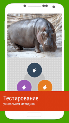 Скриншот приложения Животные и их детеныши - №3