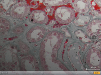 Скриншот приложения DS-L3 Viewer - №3