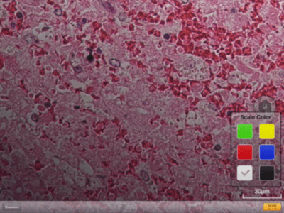 Скриншот приложения DS-L3 Viewer - №4