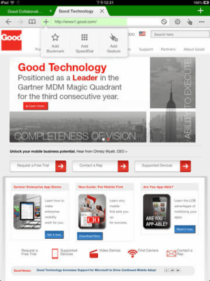 Скриншот приложения Dolphin for Good Technology HD - №4