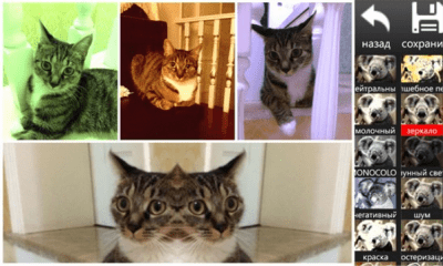 Скриншот приложения Collages Maker - №3