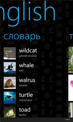 Скриншот приложения abcd English - №3