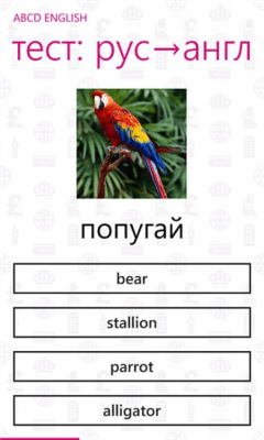 Скриншот приложения abcd English - №5