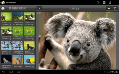 Скриншот приложения RainbowDrive - №7