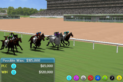 Скриншот приложения Virtual Horse Racing 3D - №5