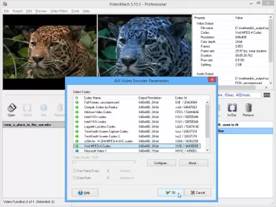 Скриншот приложения VideoMach - №2