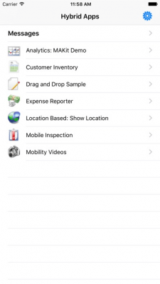 Скриншот приложения Hybrid Web Container - №3