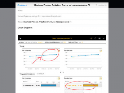 Скриншот приложения SAP Business Process Analytics - №1