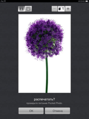 Скриншот приложения Pocket Photo - №3