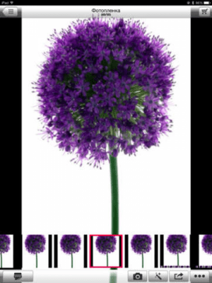 Скриншот приложения Pocket Photo - №4