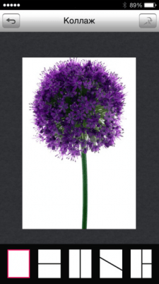 Скриншот приложения Pocket Photo - №6