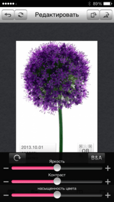 Скриншот приложения Pocket Photo - №7