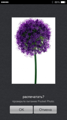 Скриншот приложения Pocket Photo - №8