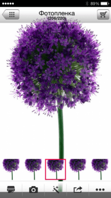 Скриншот приложения Pocket Photo - №9