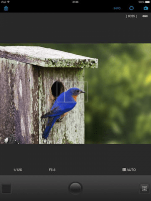 Скриншот приложения EOS Remote - №9