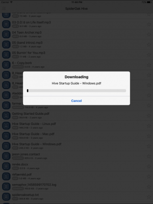 Скриншот приложения SpiderOakONE - №10