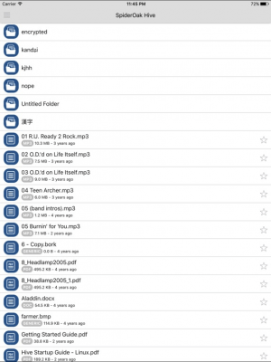 Скриншот приложения SpiderOak Groups - №3