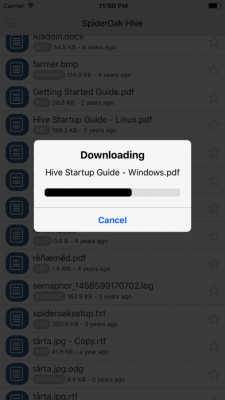 Скриншот приложения SpiderOak Groups - №5