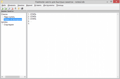 Скриншот приложения Flashnote Portable - №1
