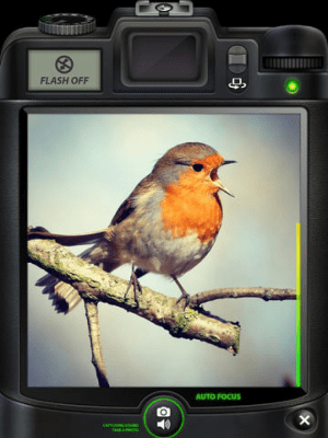 Скриншот приложения Camera SX Pro for iPad : Photo with Sound - №2