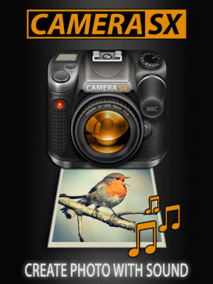 Скриншот приложения Camera SX Pro for iPad : Photo with Sound - №5