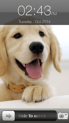 Скриншот приложения Dog Screen Lock - №5