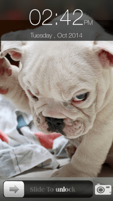 Скриншот приложения Dog Screen Lock - №8