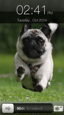 Скриншот приложения Dog Screen Lock - №11