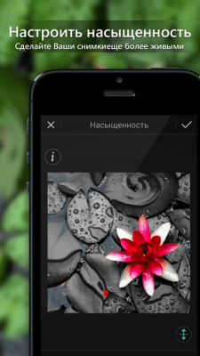 Скриншот приложения PhotoDirector - №4