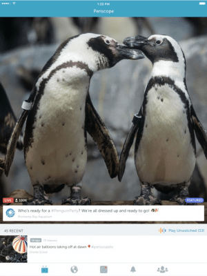 Скриншот приложения Periscope - №3