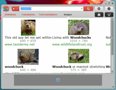 Скриншот приложения Dixio Desktop - №3