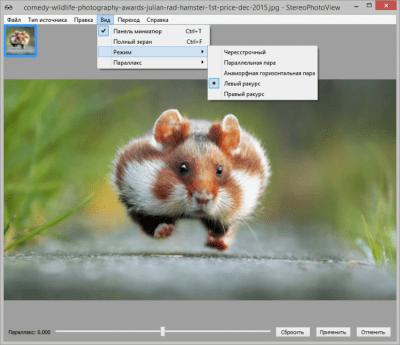 Скриншот приложения StereoPhotoView - №3