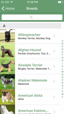 Скриншот приложения What Dog Experiment - №3