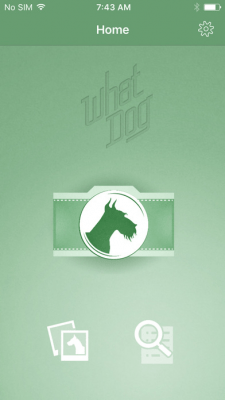 Скриншот приложения What Dog Experiment - №4