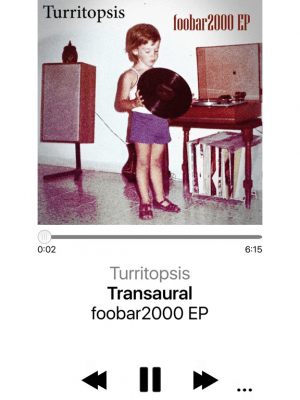 Скриншот приложения foobar2000 для iOS - №4