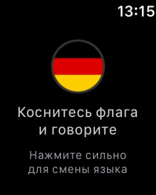 Скриншот приложения Mate – переводчик и словарь - №4