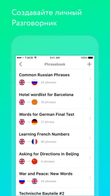 Скриншот приложения Mate – переводчик и словарь - №6