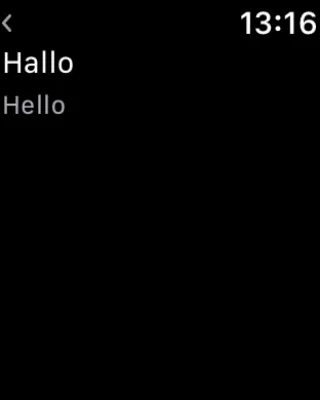 Скриншот приложения Mate – переводчик и словарь - №10