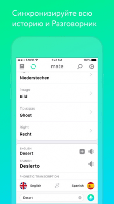 Скриншот приложения Mate – переводчик и словарь - №14