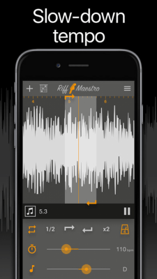 Скриншот приложения Riff Maestro - №9
