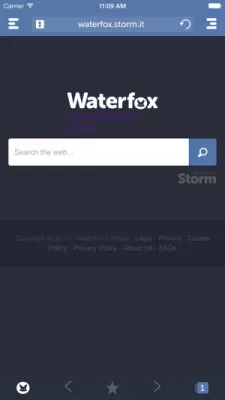 Скриншот приложения Waterfox Browser для iOS - №3
