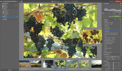 Скриншот приложения Zoner Photo Studio FREE - №4